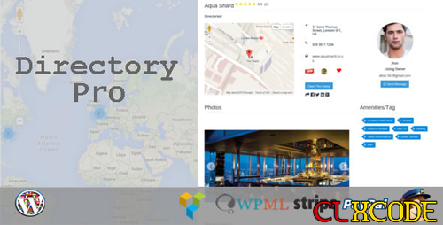 More information about "Directory Pro WordPress Plugin v2.1.3"